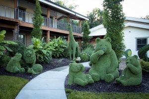 The-Ronald-McDonald-House-Garden.jpg